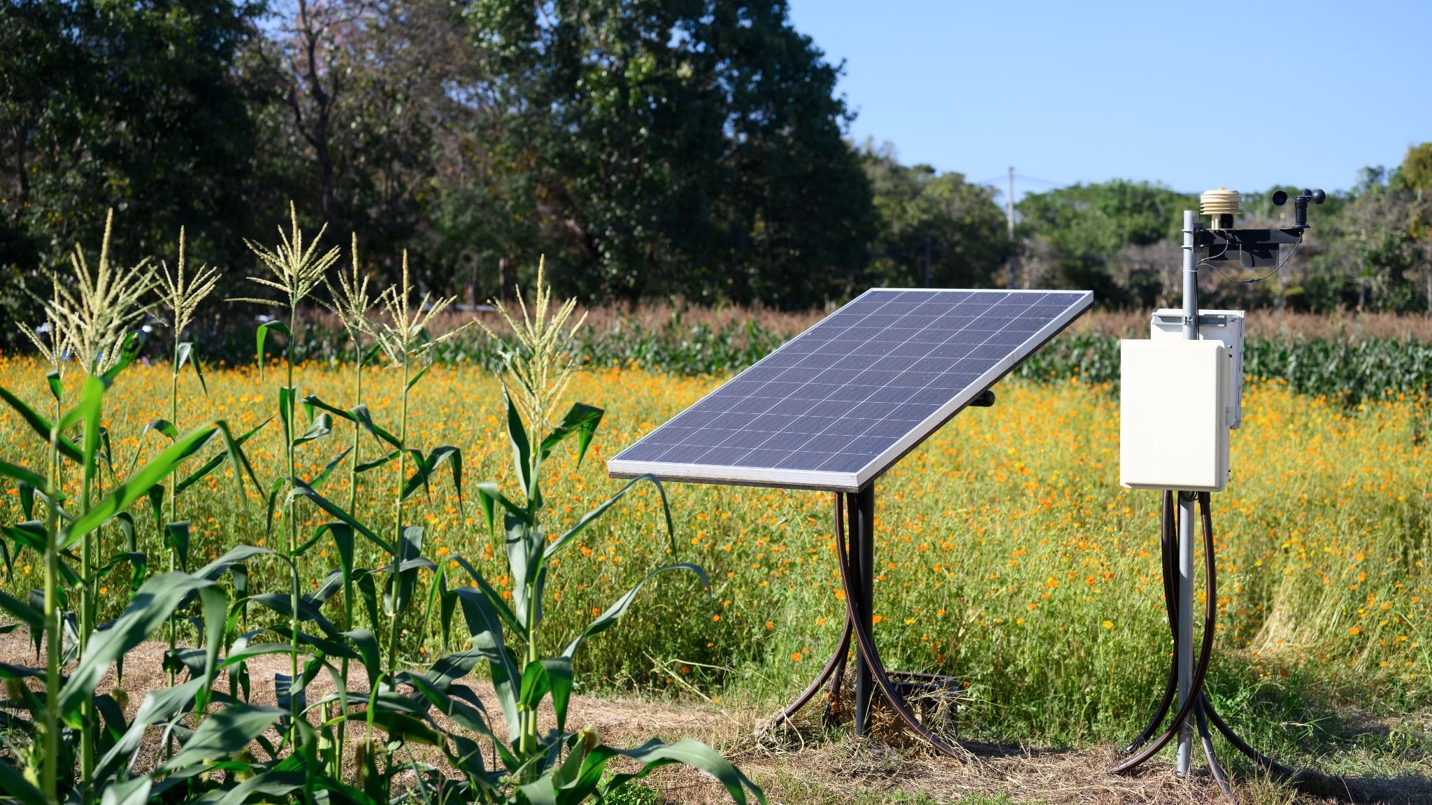 solar water pump