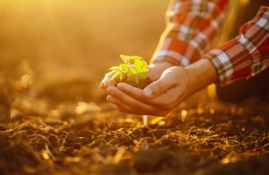 sustainable development