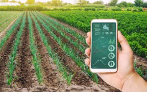 smart farming