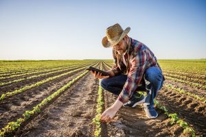 precision agriculture