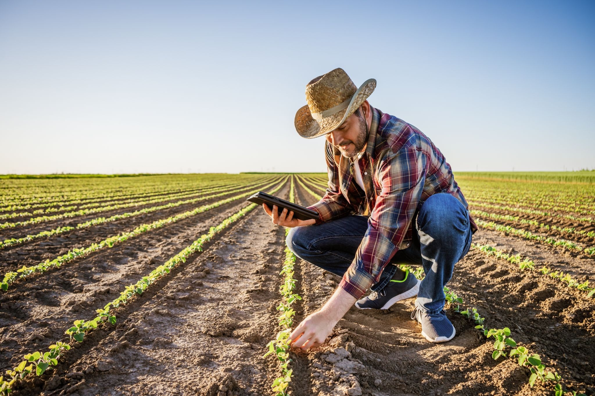 precision agriculture
