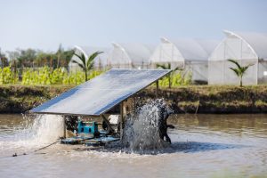 solar irrigation