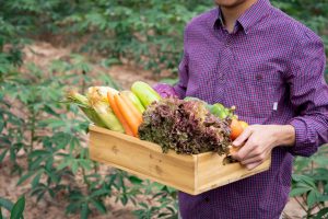 sustainable agriculture