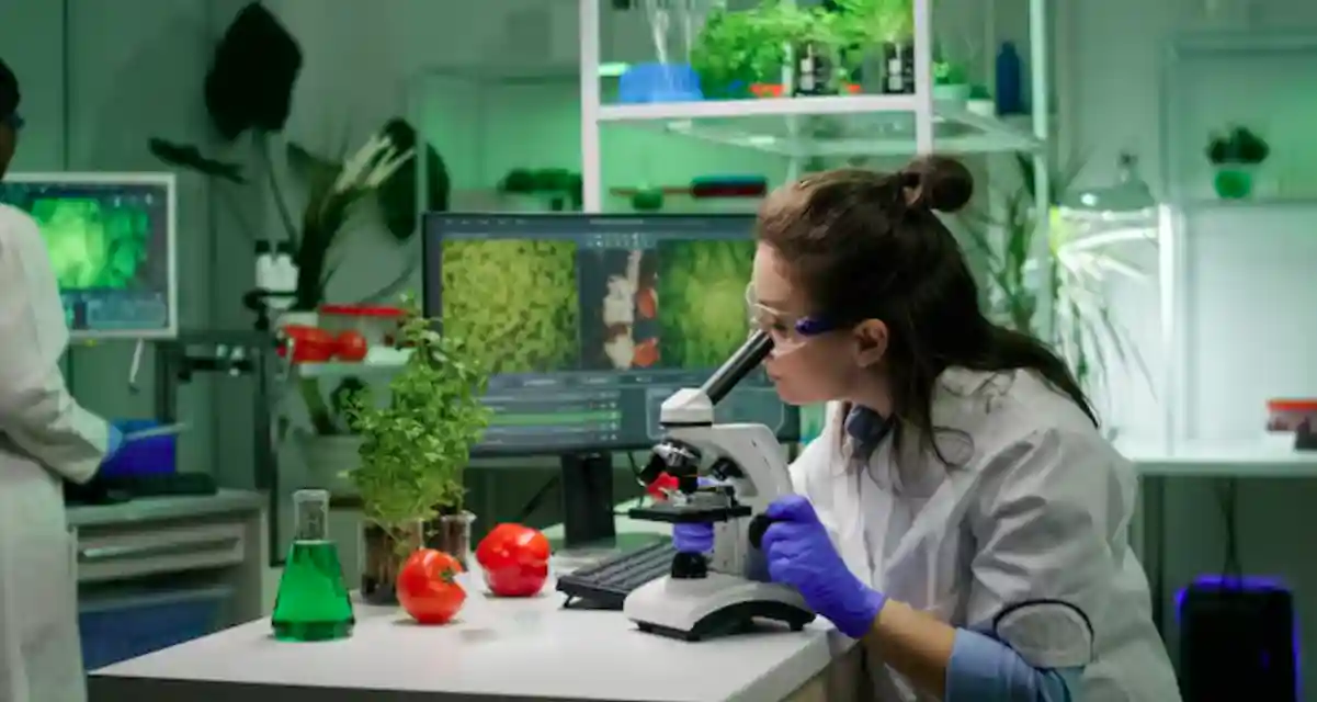 AGI Westfield bucket elevators