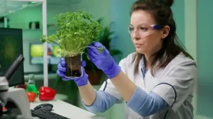 agriculture routing software